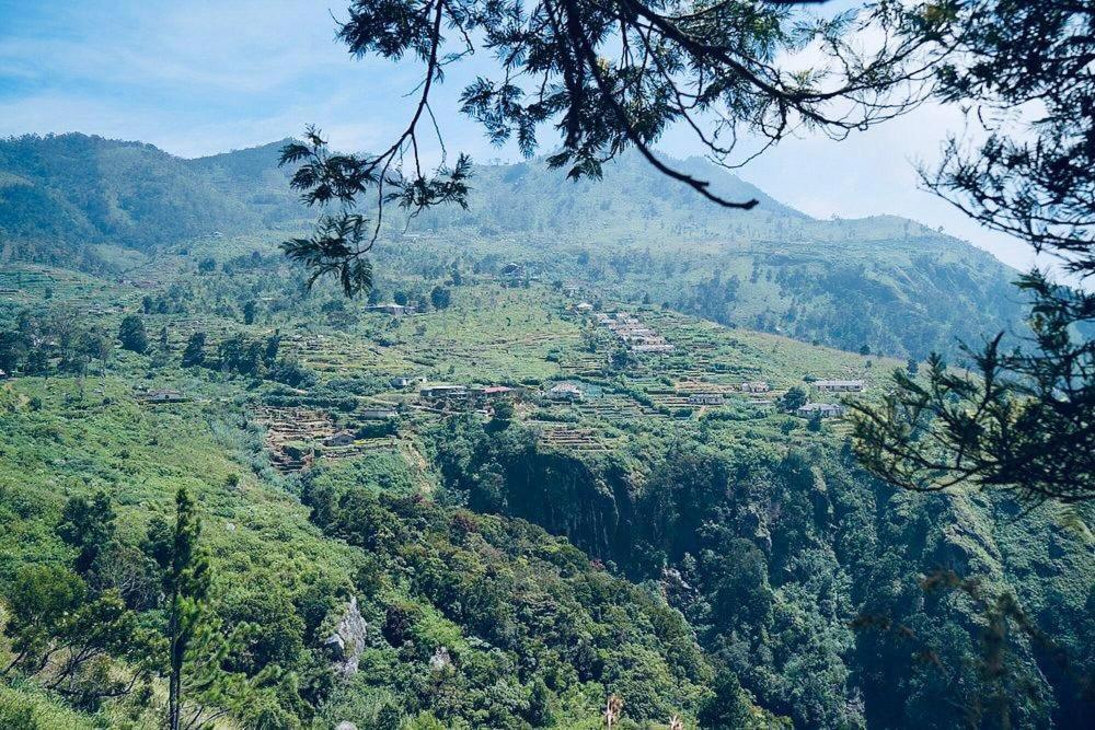 Misty Mountain Lodge Ohiya Εξωτερικό φωτογραφία
